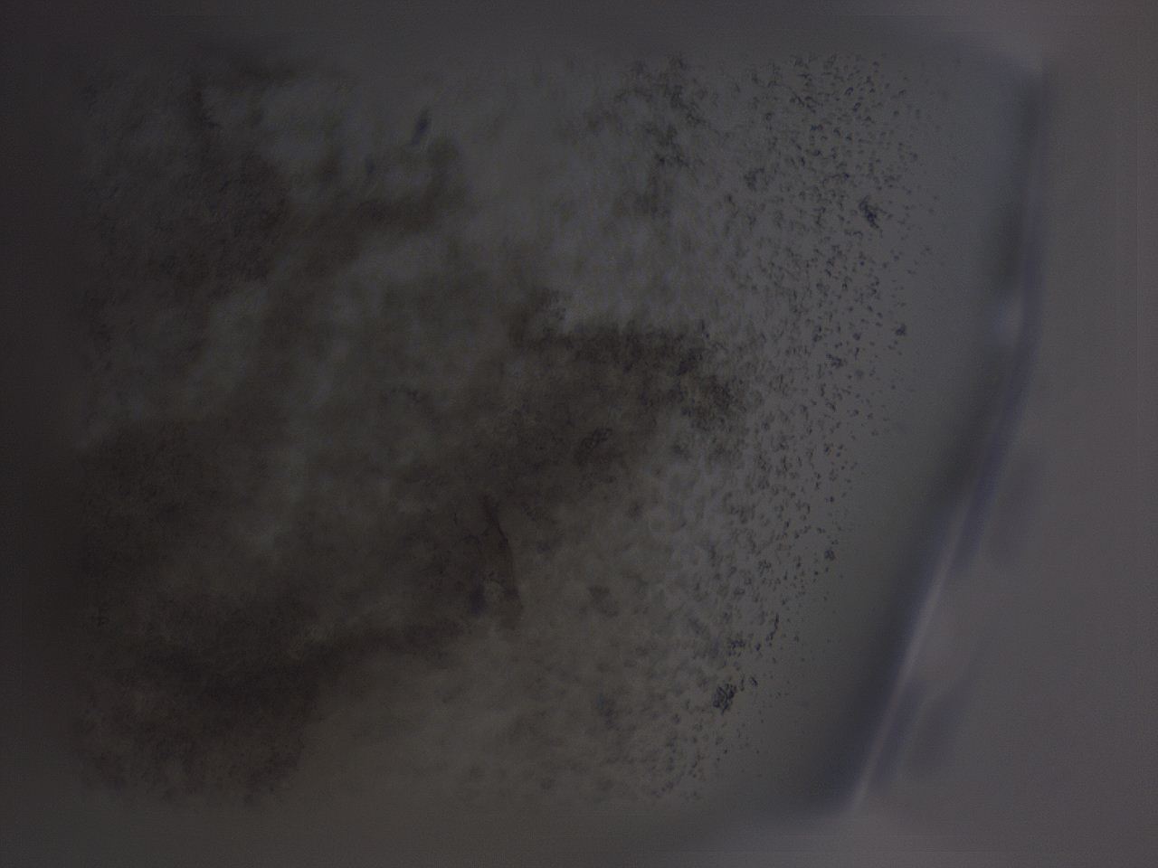 04fz_A4_ImagerDefaults_3.jpg