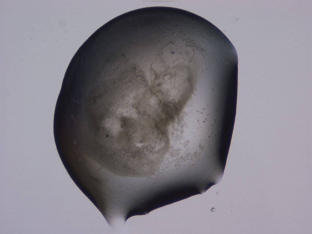 04fz_A12_ImagerDefaults_3.jpg