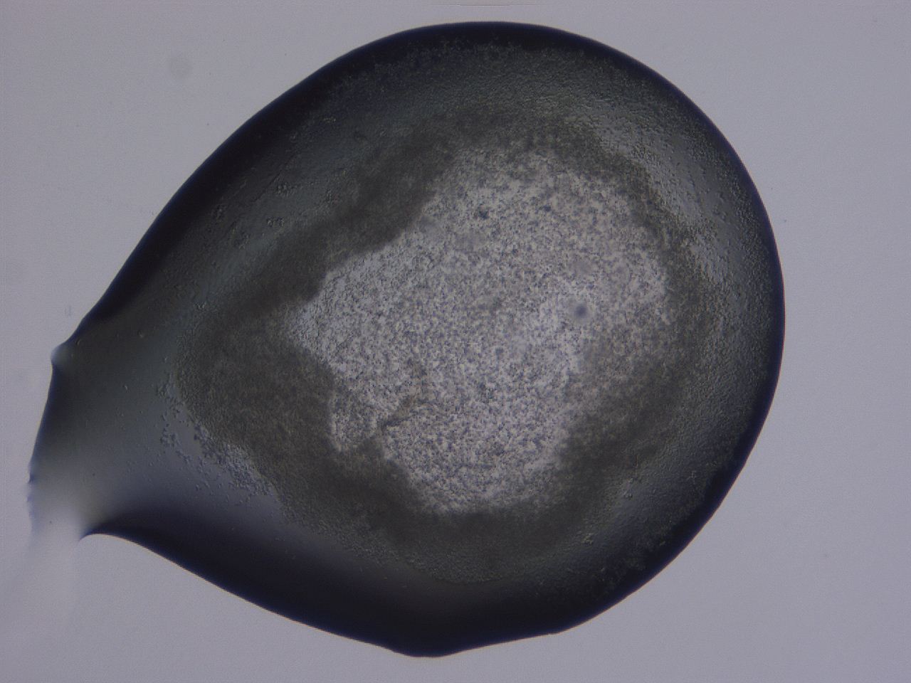 04fz_B1_ImagerDefaults_3.jpg