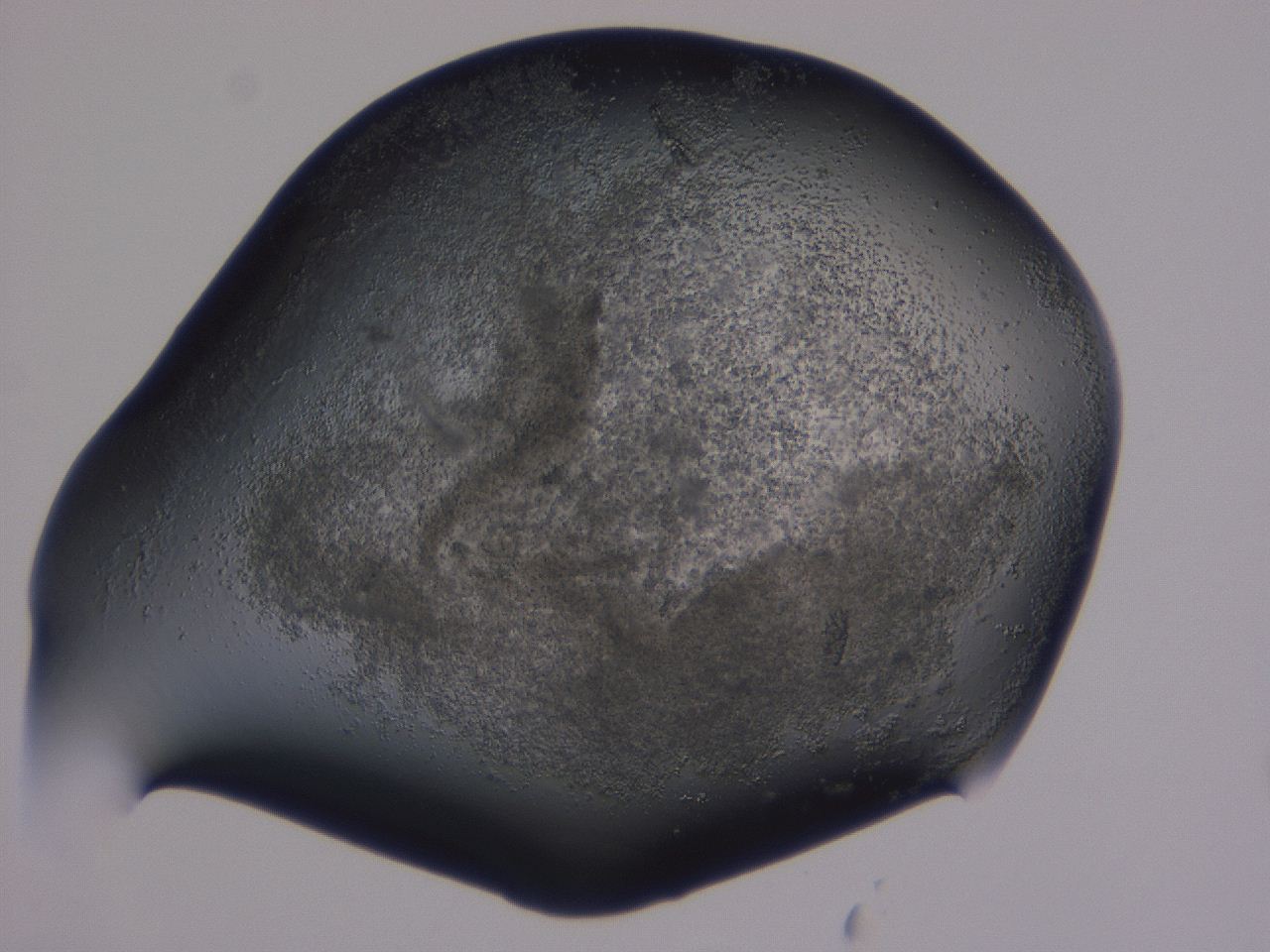 04fz_B2_ImagerDefaults_3.jpg