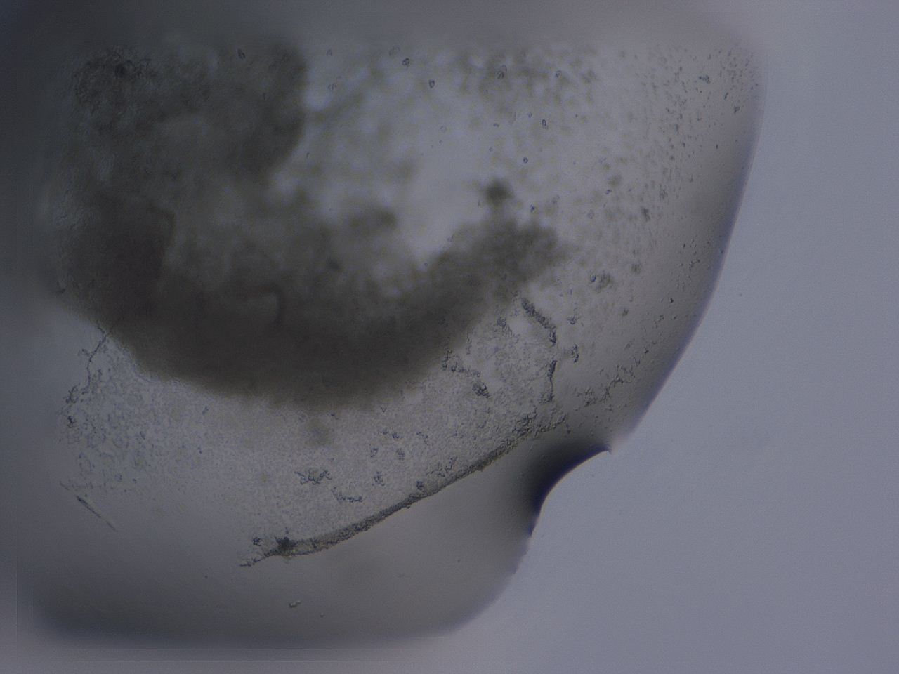 04fz_B3_ImagerDefaults_3.jpg