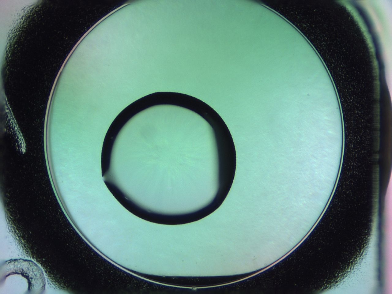 0174_A12_ImagerDefaults_0.jpg