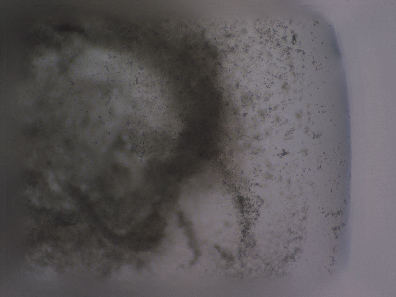 04g0_C3_ImagerDefaults_3.jpg