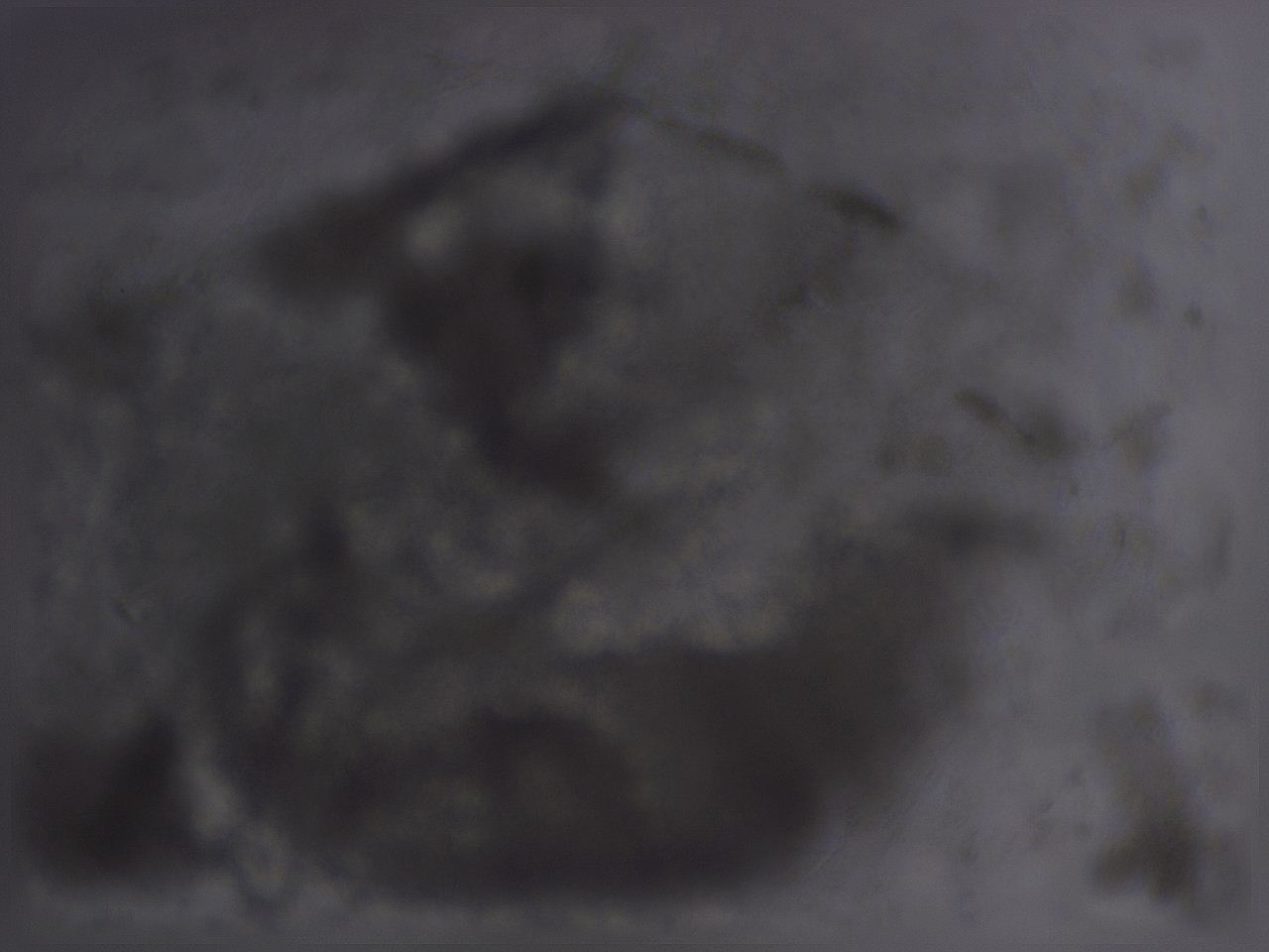 04g0_C9_ImagerDefaults_3.jpg