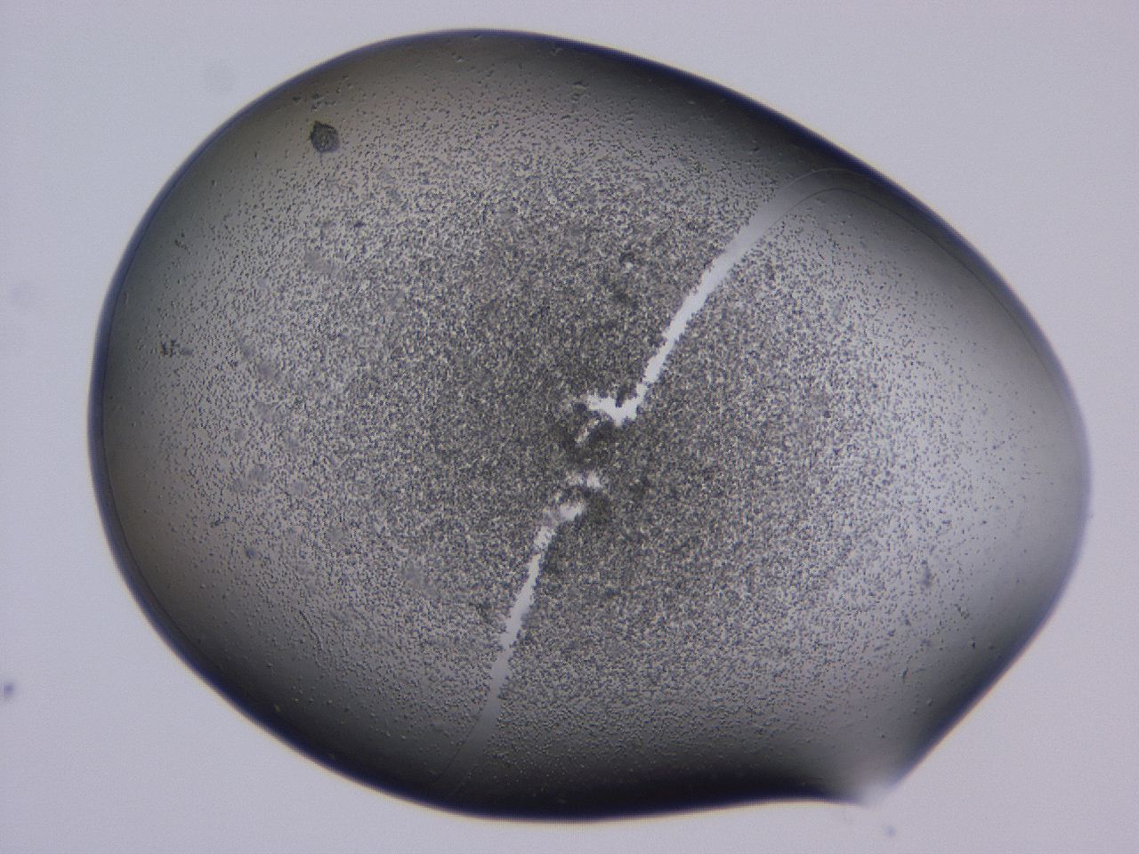 04g0_C11_ImagerDefaults_3.jpg