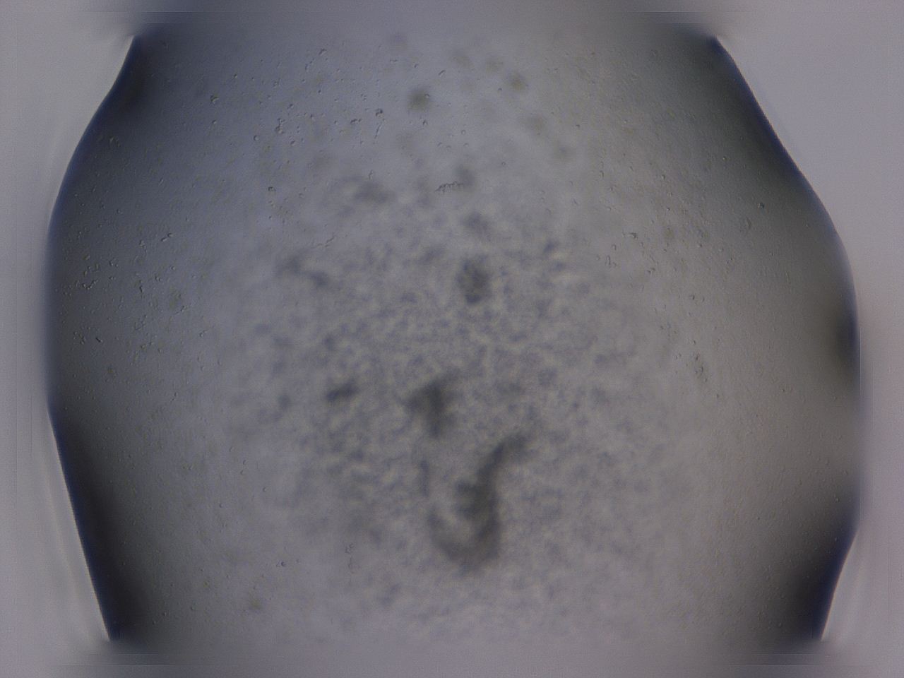 04g0_D4_ImagerDefaults_3.jpg