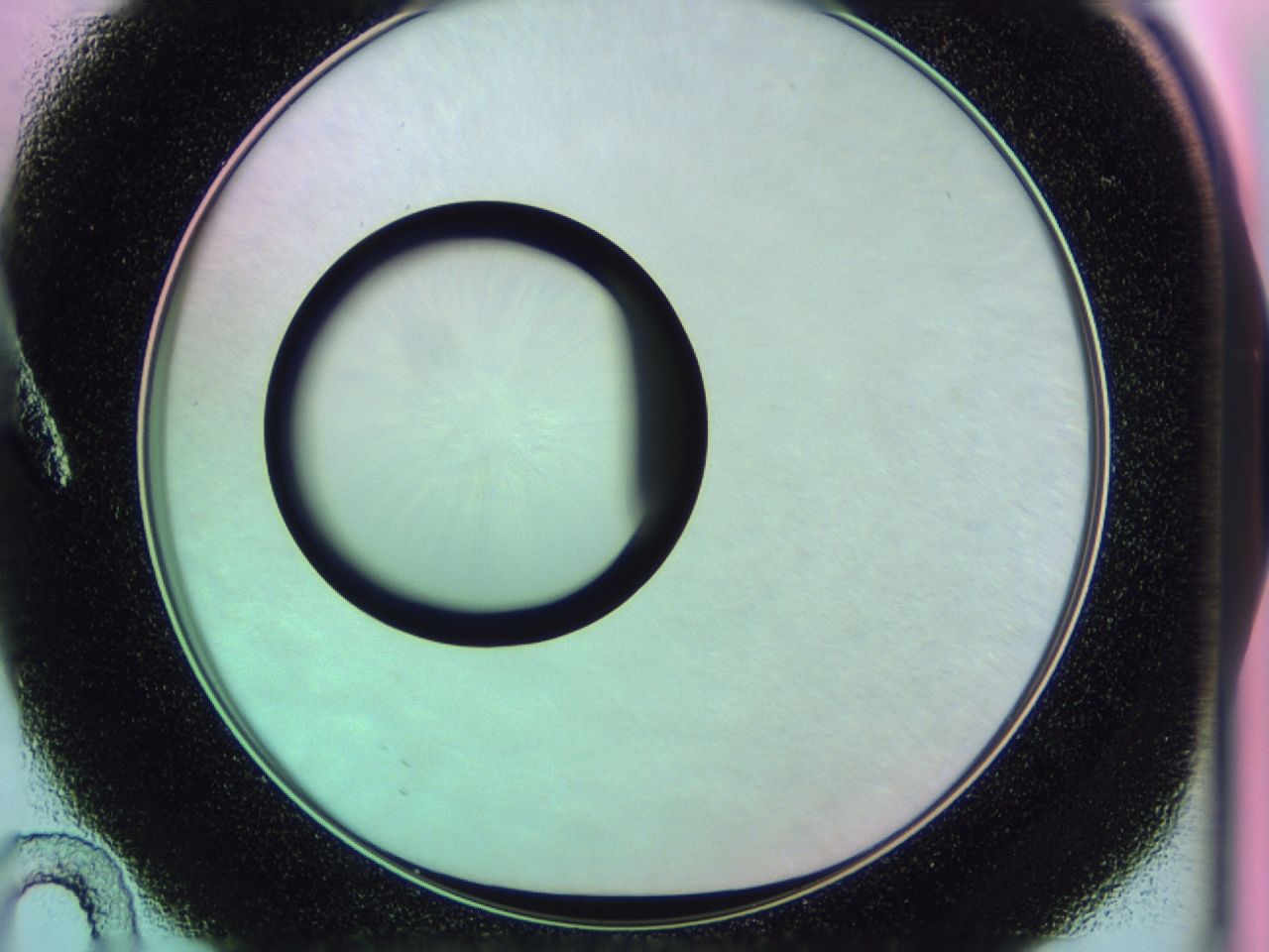 0174_A10_ImagerDefaults_0.jpg