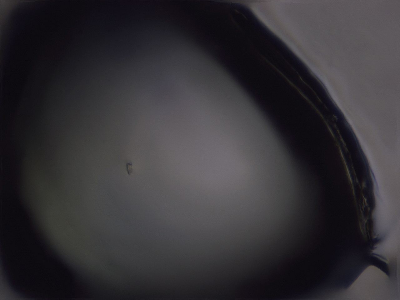 04g0_A8_ImagerDefaults_0.jpg