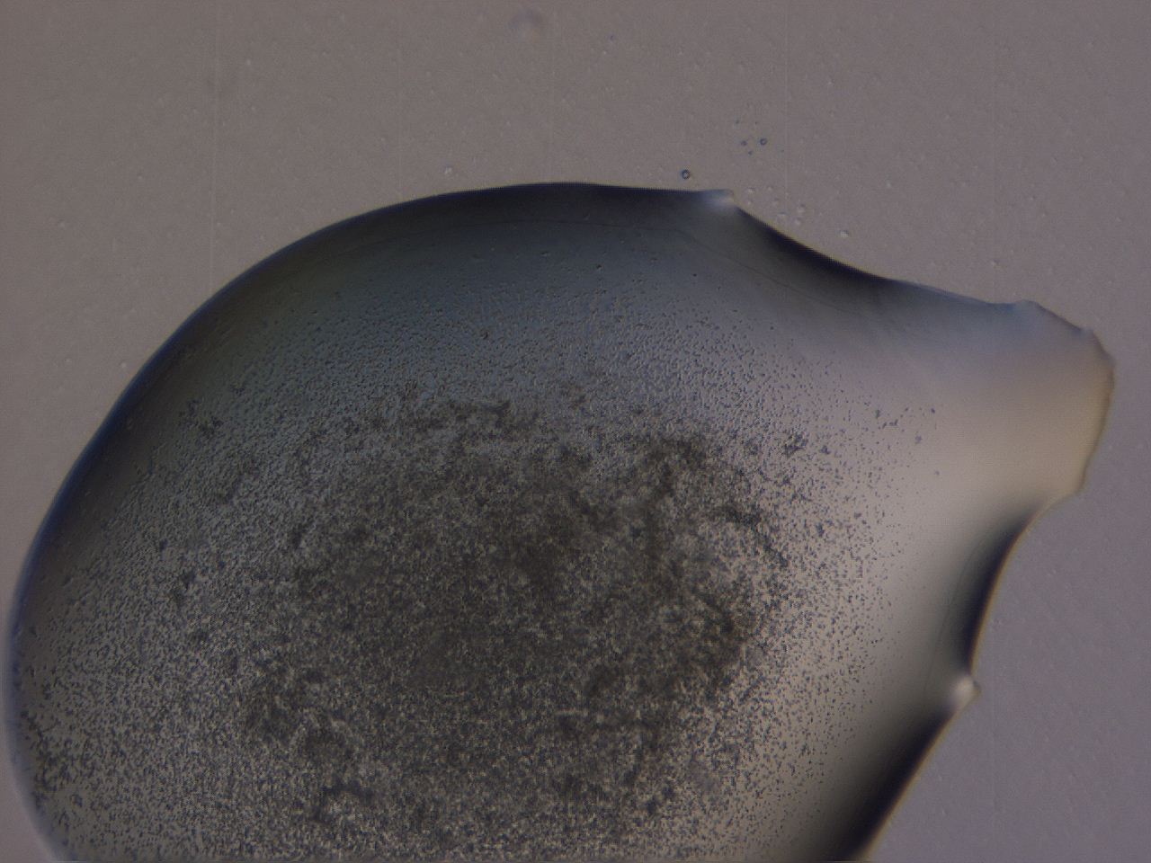 04g0_A10_ImagerDefaults_3.jpg