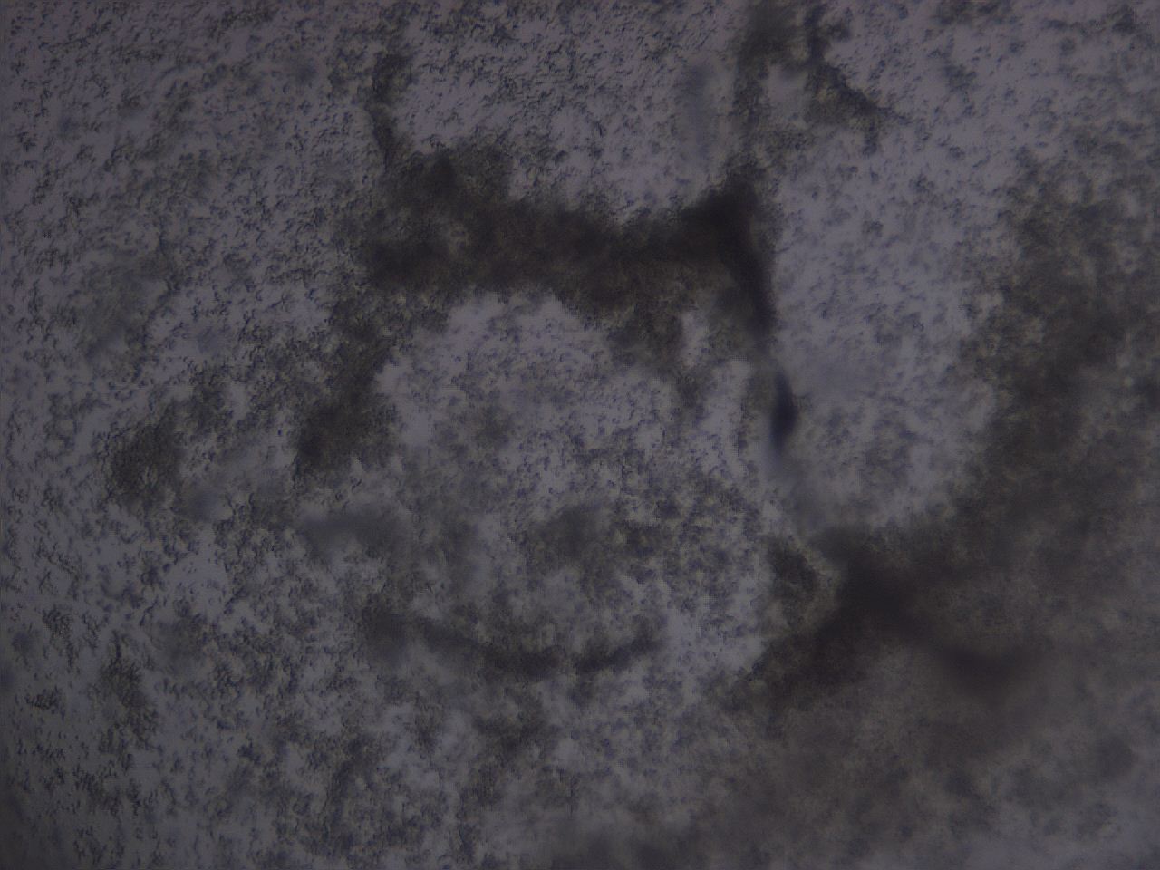 04g0_D10_ImagerDefaults_3.jpg