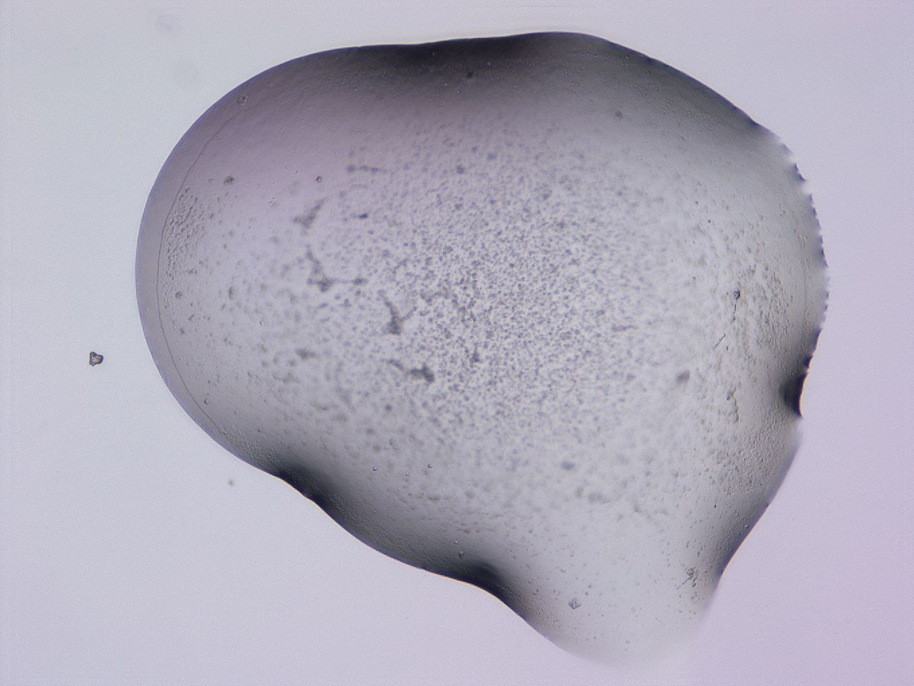 04g0_D11_ImagerDefaults_3.jpg