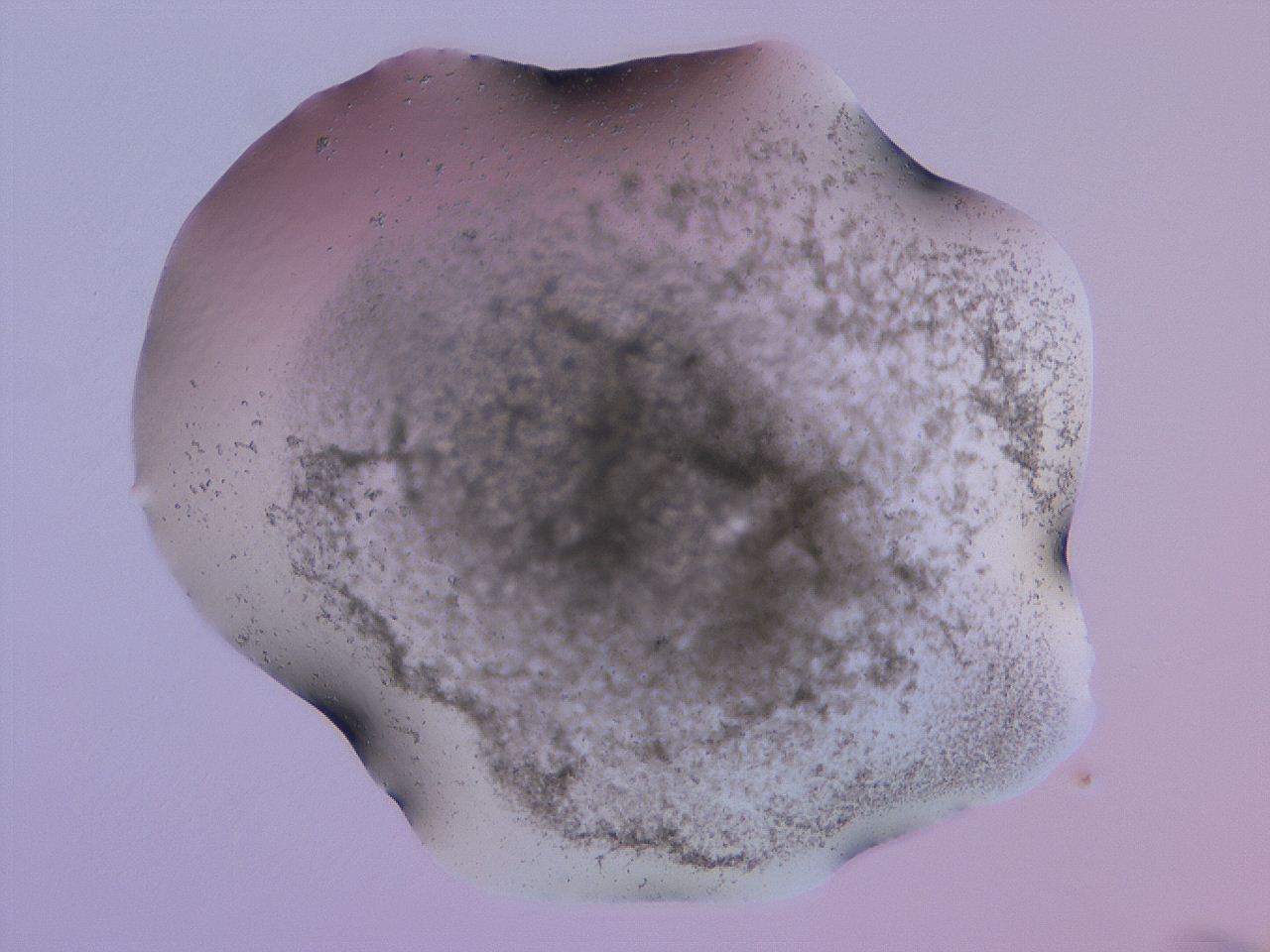 04g0_E6_ImagerDefaults_3.jpg