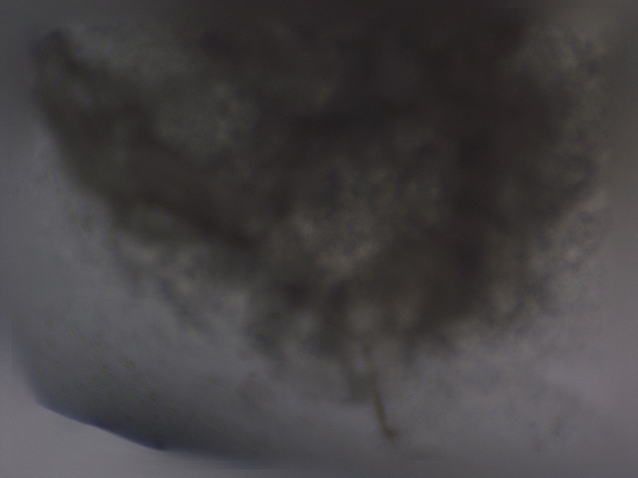 04g0_E11_ImagerDefaults_3.jpg