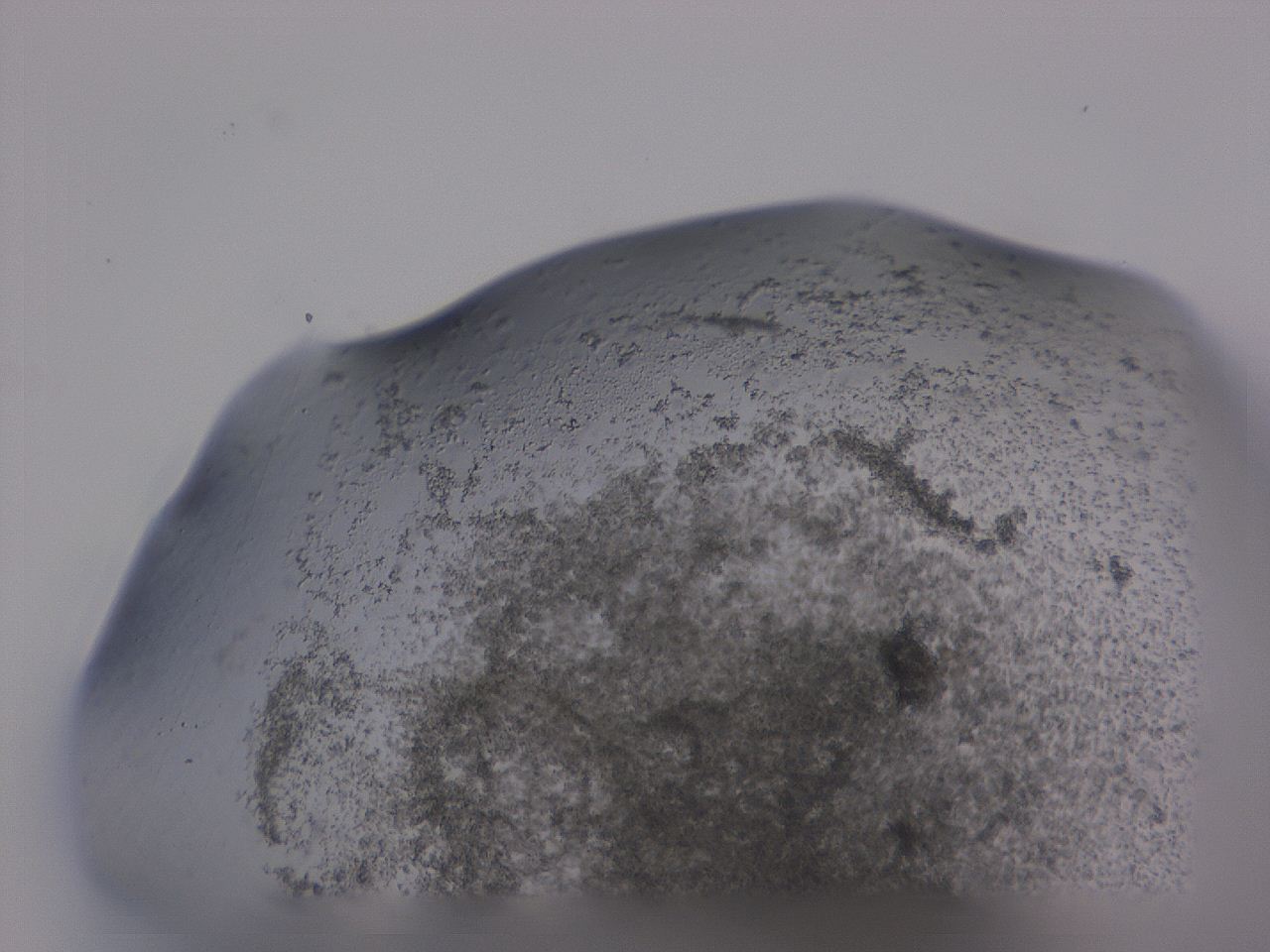 04g0_F1_ImagerDefaults_3.jpg