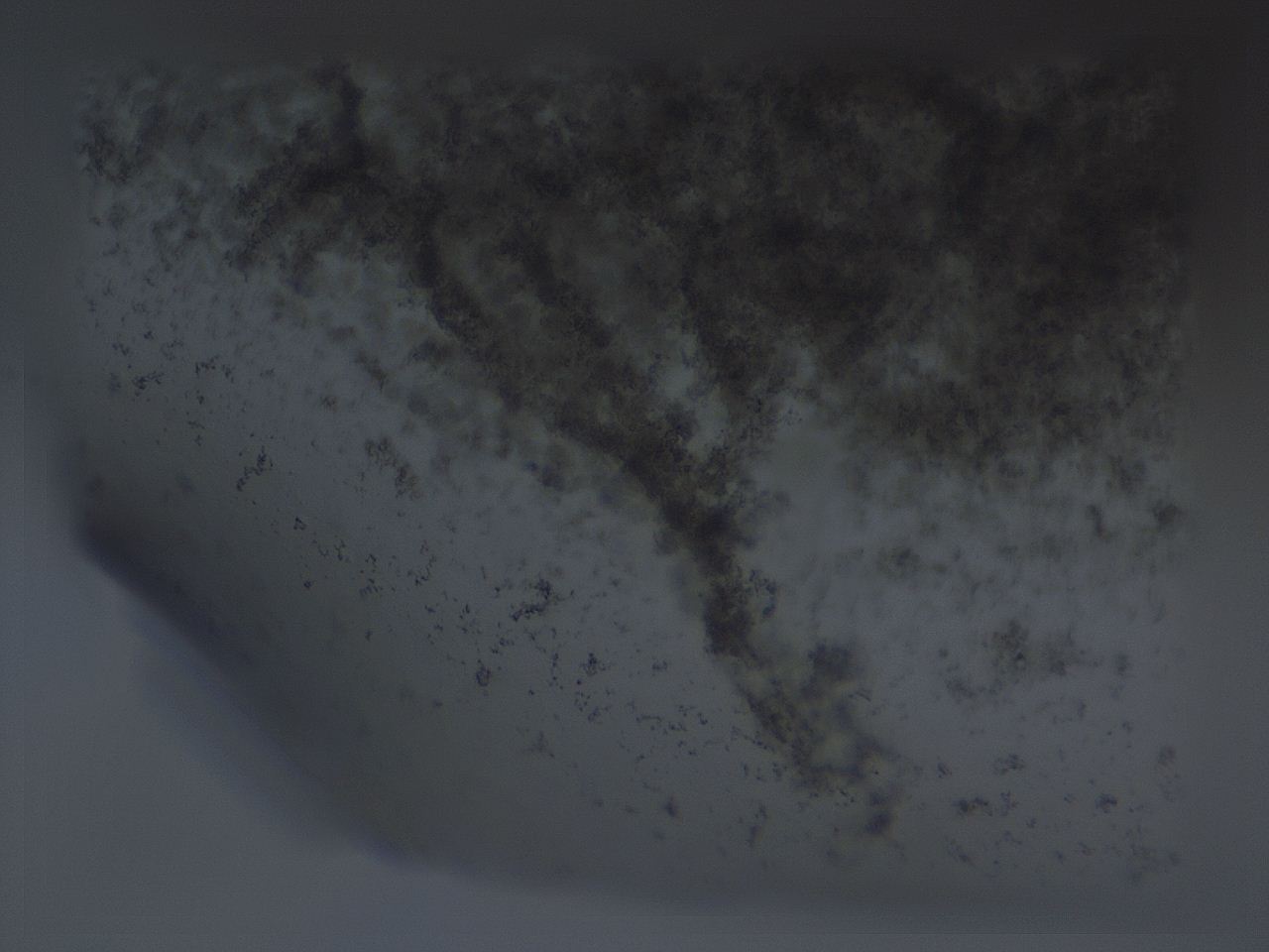 04g0_F2_ImagerDefaults_3.jpg