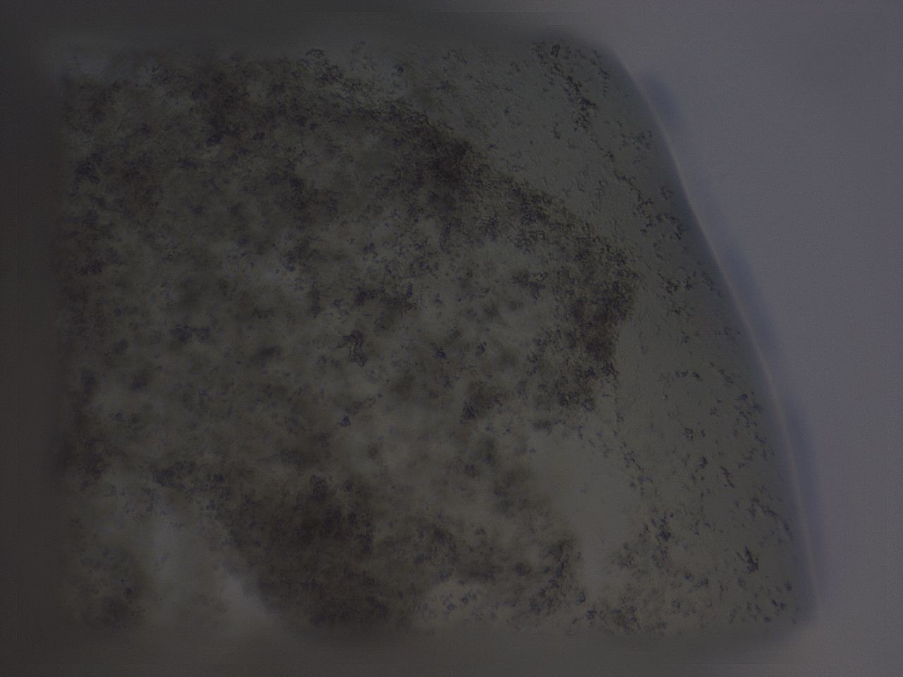 04g0_F3_ImagerDefaults_3.jpg