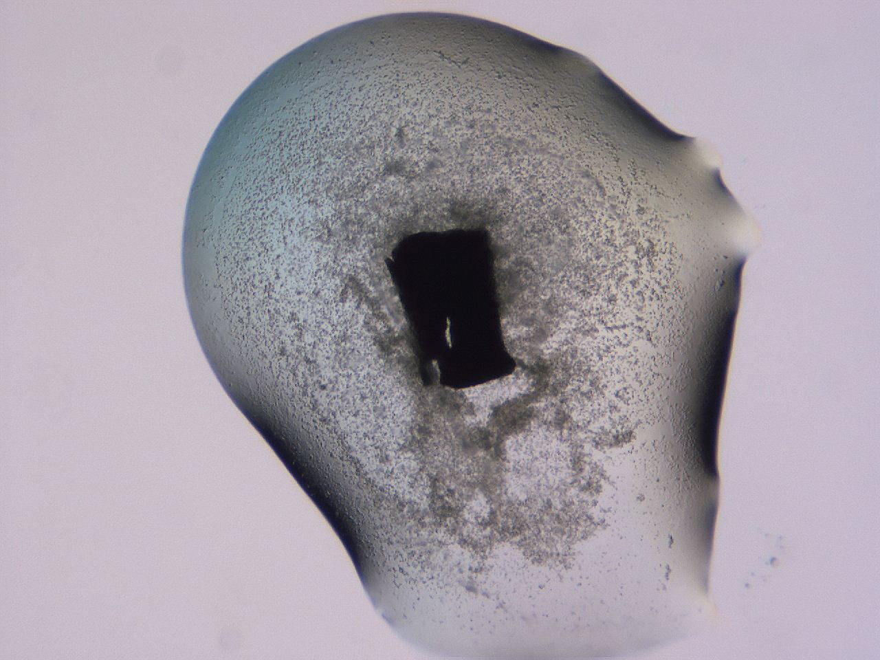 04g0_F4_ImagerDefaults_3.jpg