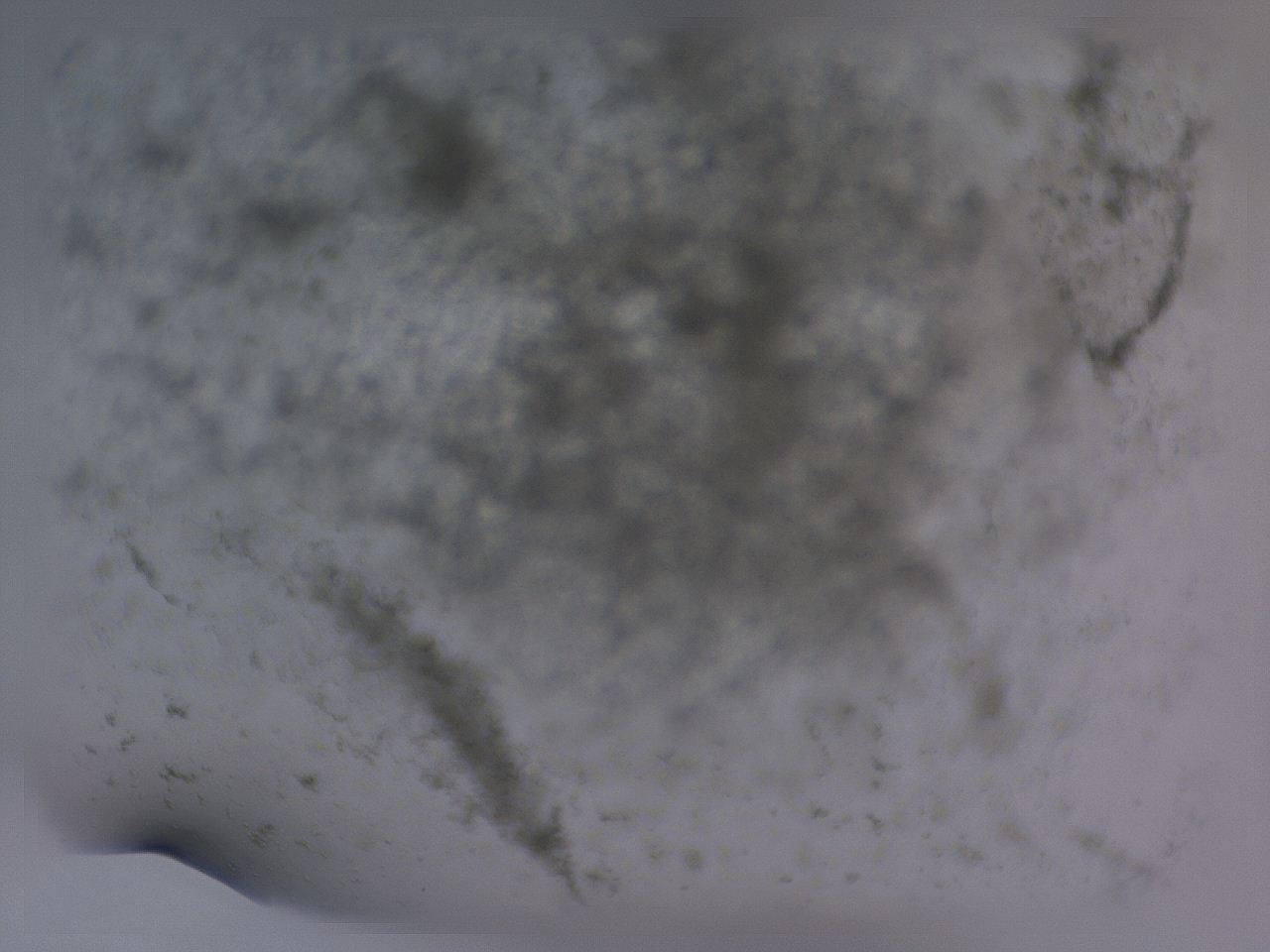 04g0_F5_ImagerDefaults_3.jpg