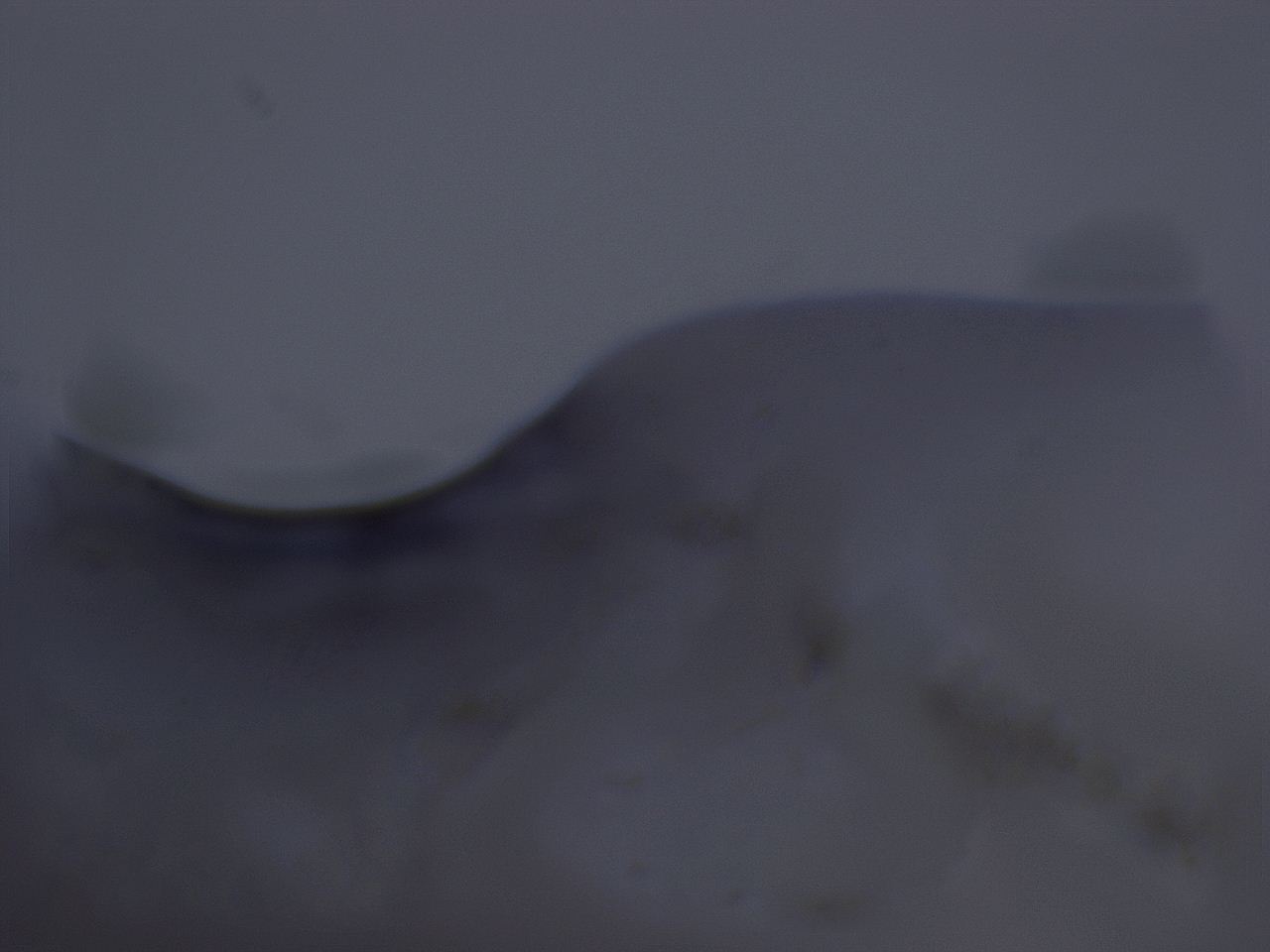 04g0_F6_ImagerDefaults_3.jpg