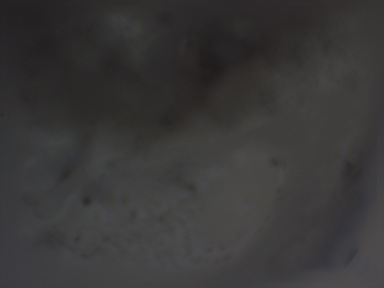 04g0_F7_ImagerDefaults_3.jpg