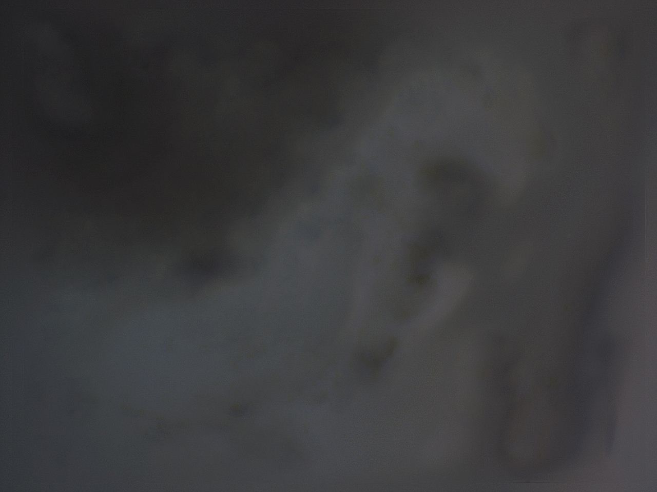 04g0_F8_ImagerDefaults_3.jpg
