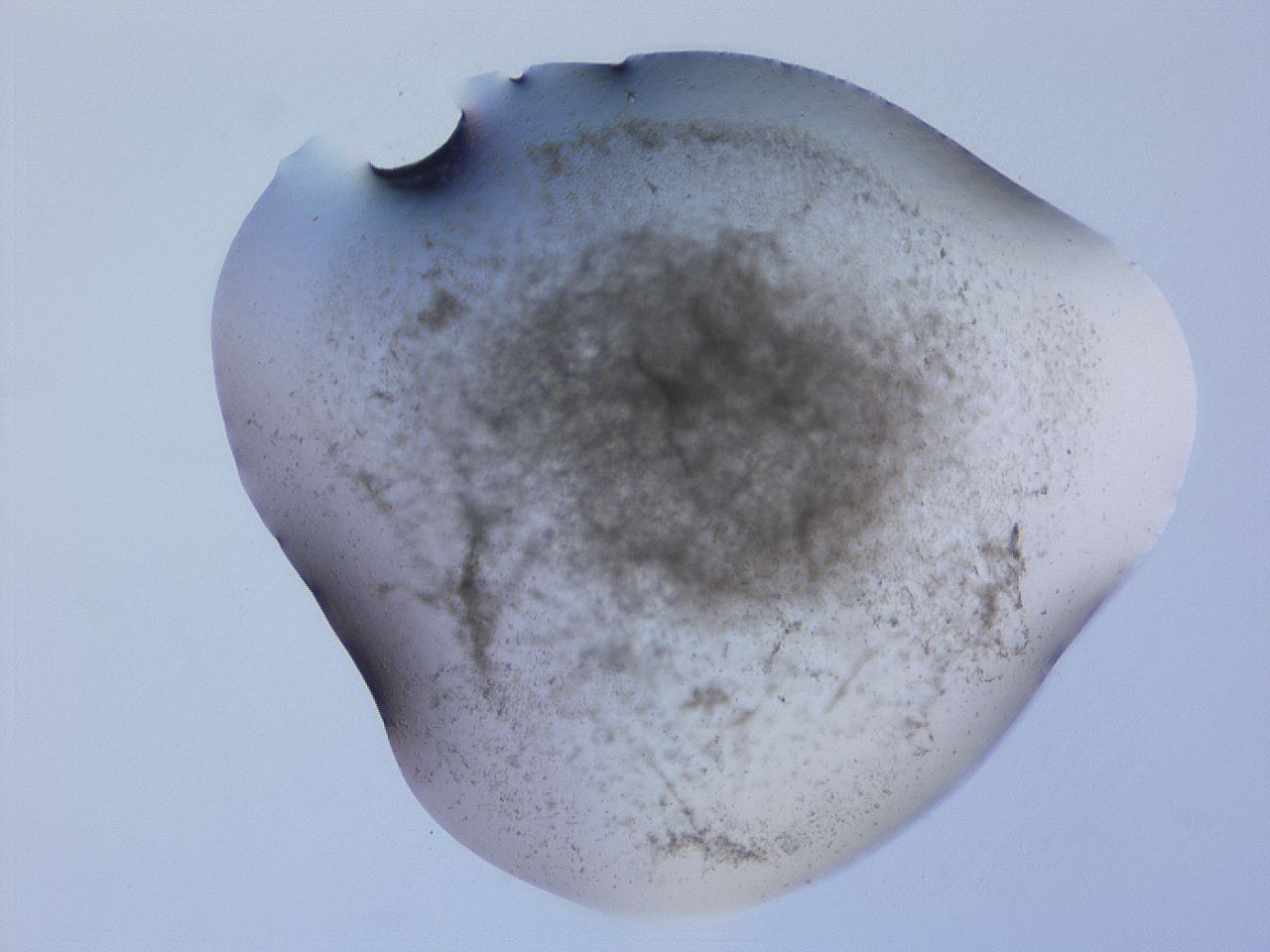 04g0_F10_ImagerDefaults_3.jpg