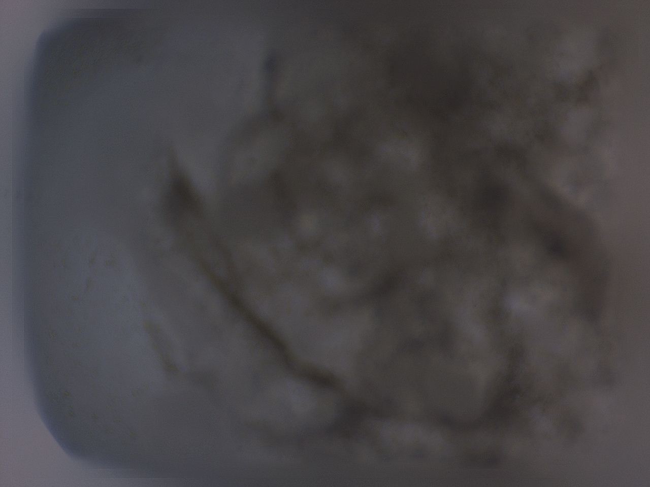 04g0_F12_ImagerDefaults_3.jpg