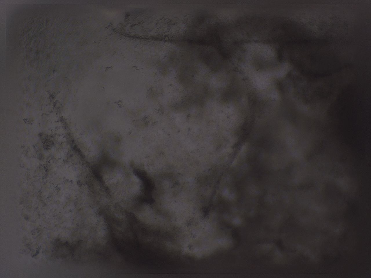 04g0_G3_ImagerDefaults_3.jpg