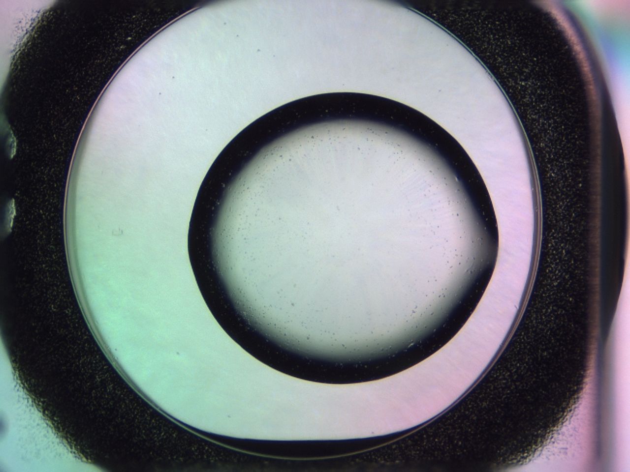0174_C5_ImagerDefaults_0.jpg