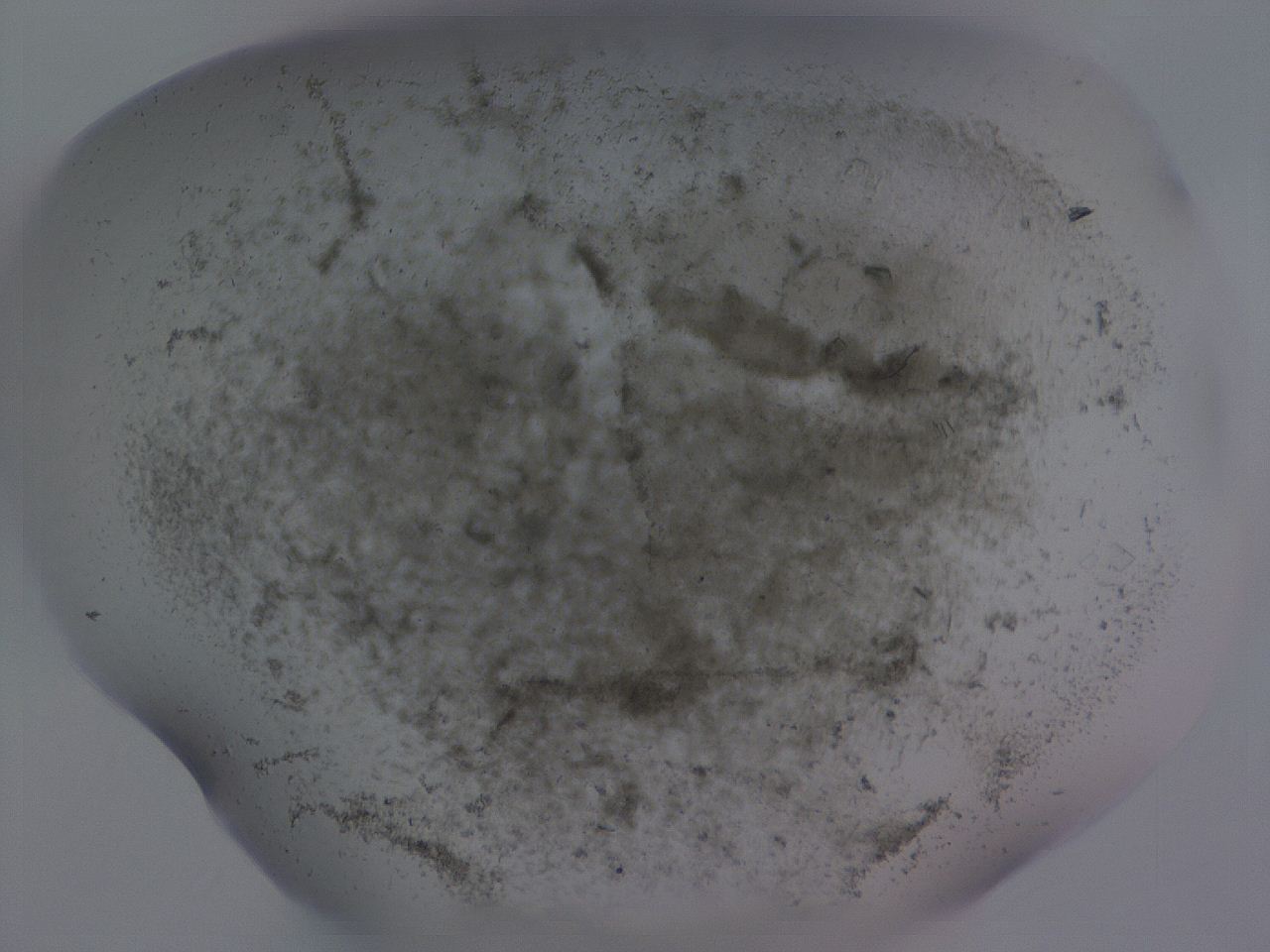 04g0_H11_ImagerDefaults_3.jpg