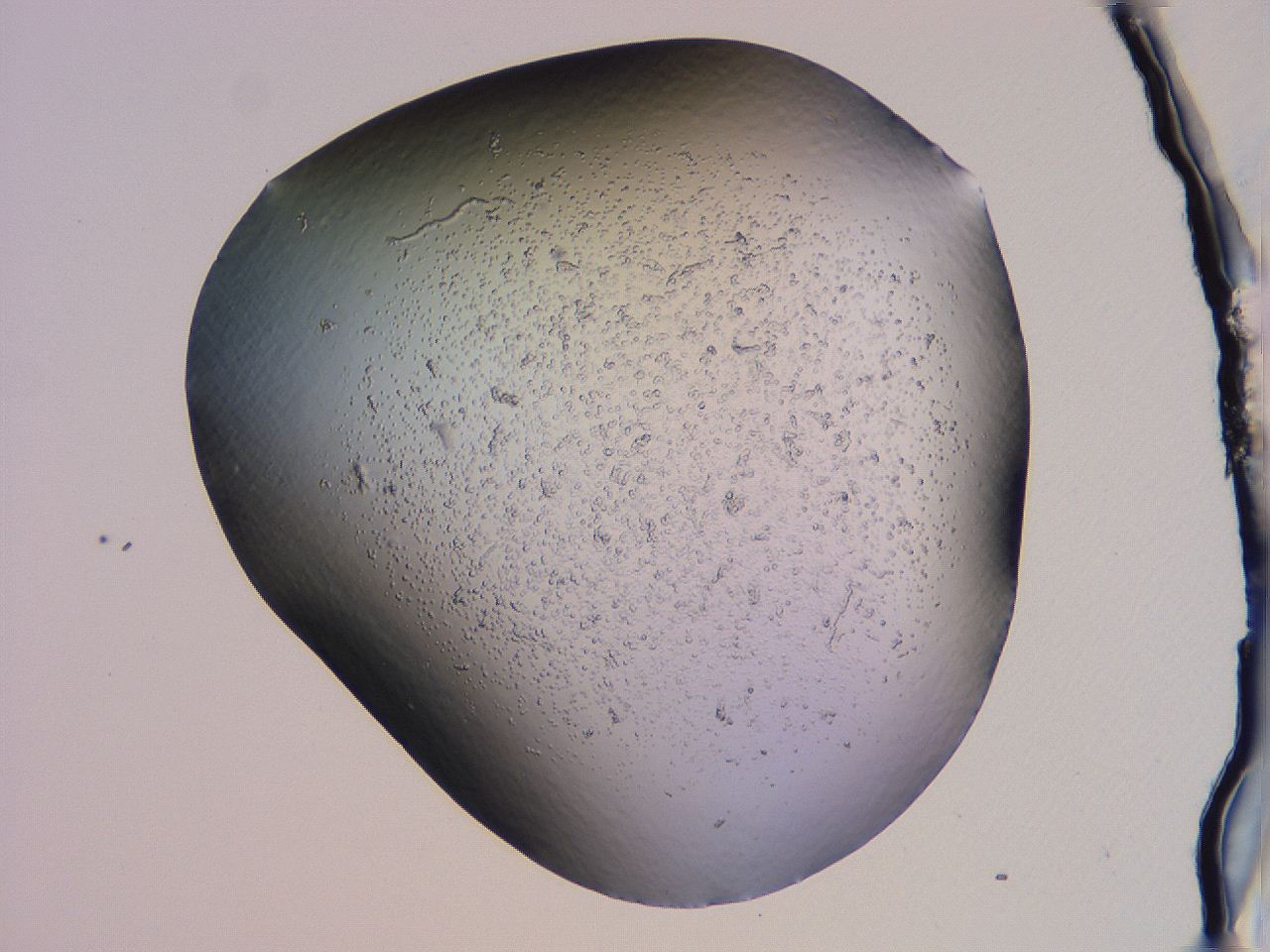04g1_C2_ImagerDefaults_3.jpg