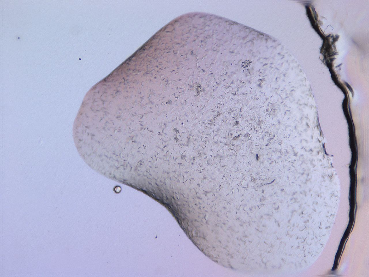 04g1_C1_ImagerDefaults_3.jpg