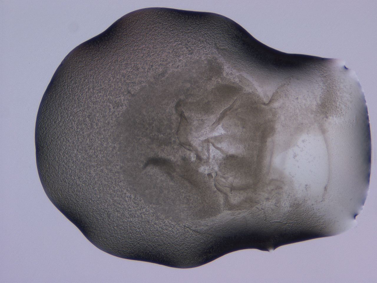 04g1_C5_ImagerDefaults_3.jpg