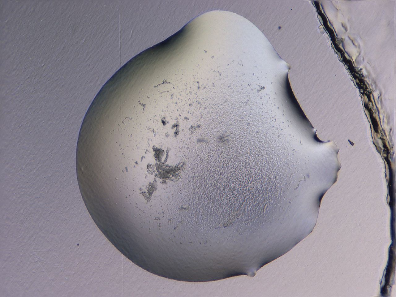04g1_B12_ImagerDefaults_3.jpg
