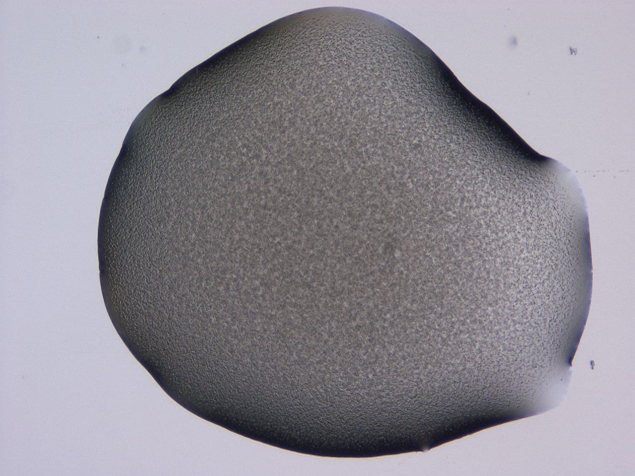 04g1_C11_ImagerDefaults_3.jpg