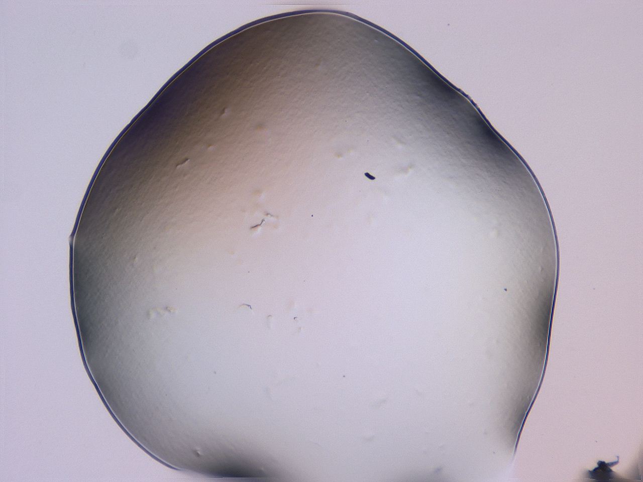 04g1_D3_ImagerDefaults_0.jpg