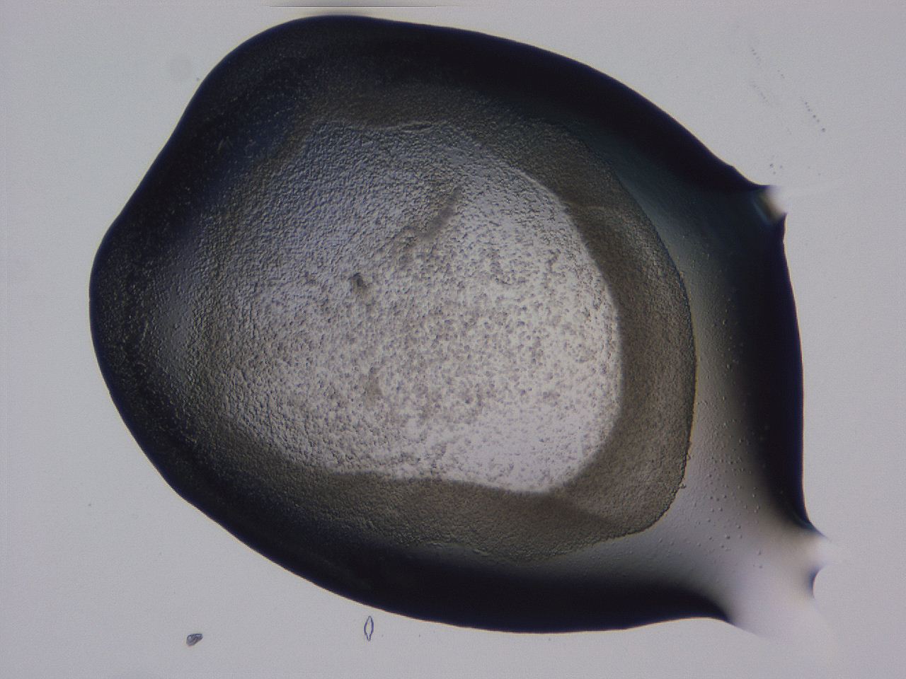 04g1_D4_ImagerDefaults_3.jpg