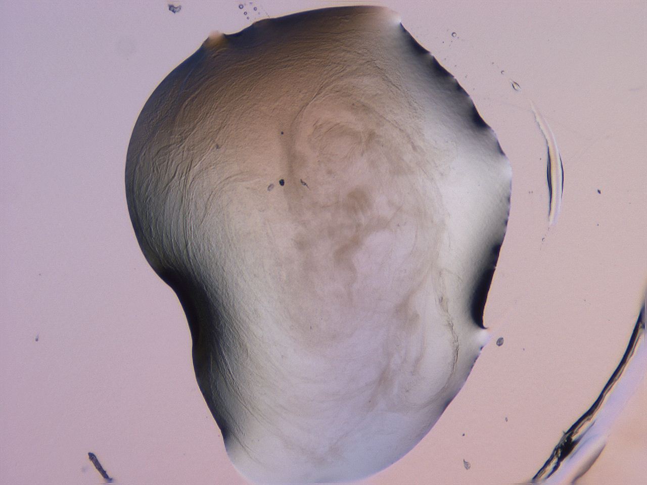 04g1_D6_ImagerDefaults_3.jpg