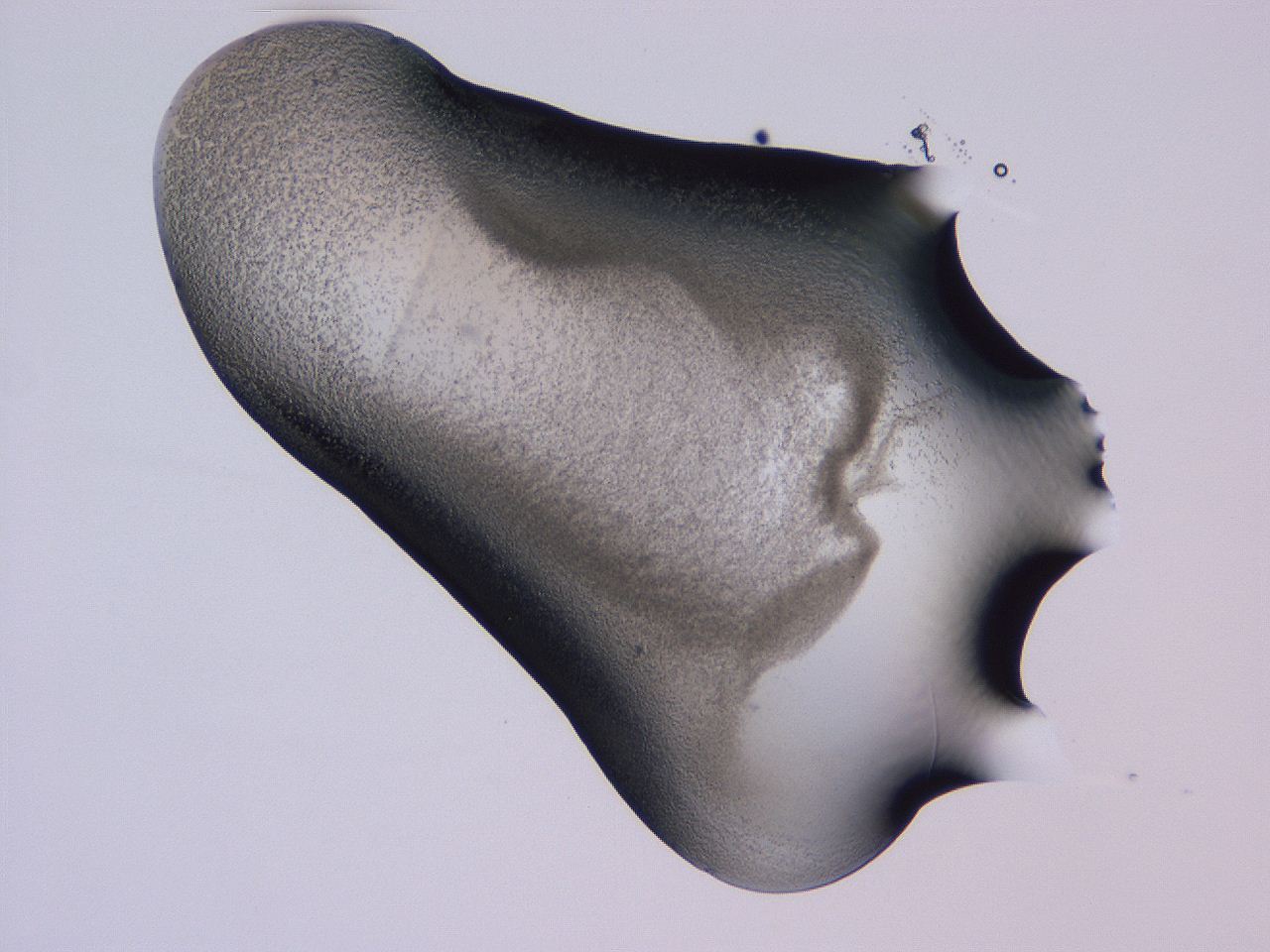 04g1_D7_ImagerDefaults_3.jpg