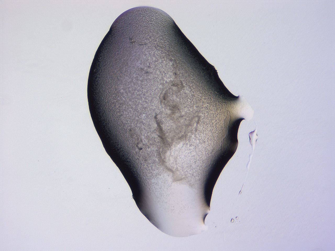 04g1_D8_ImagerDefaults_3.jpg