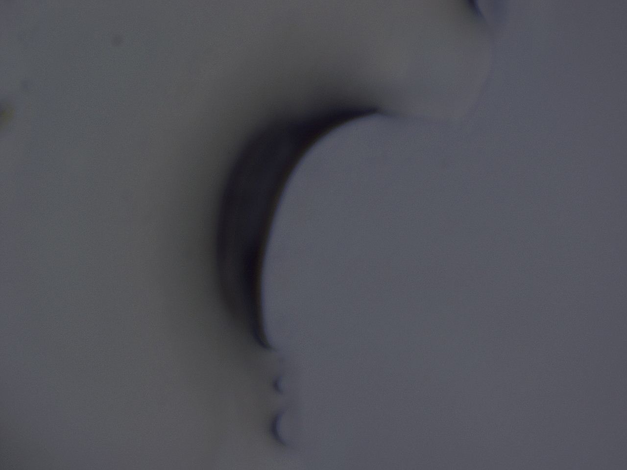04g1_D9_ImagerDefaults_3.jpg