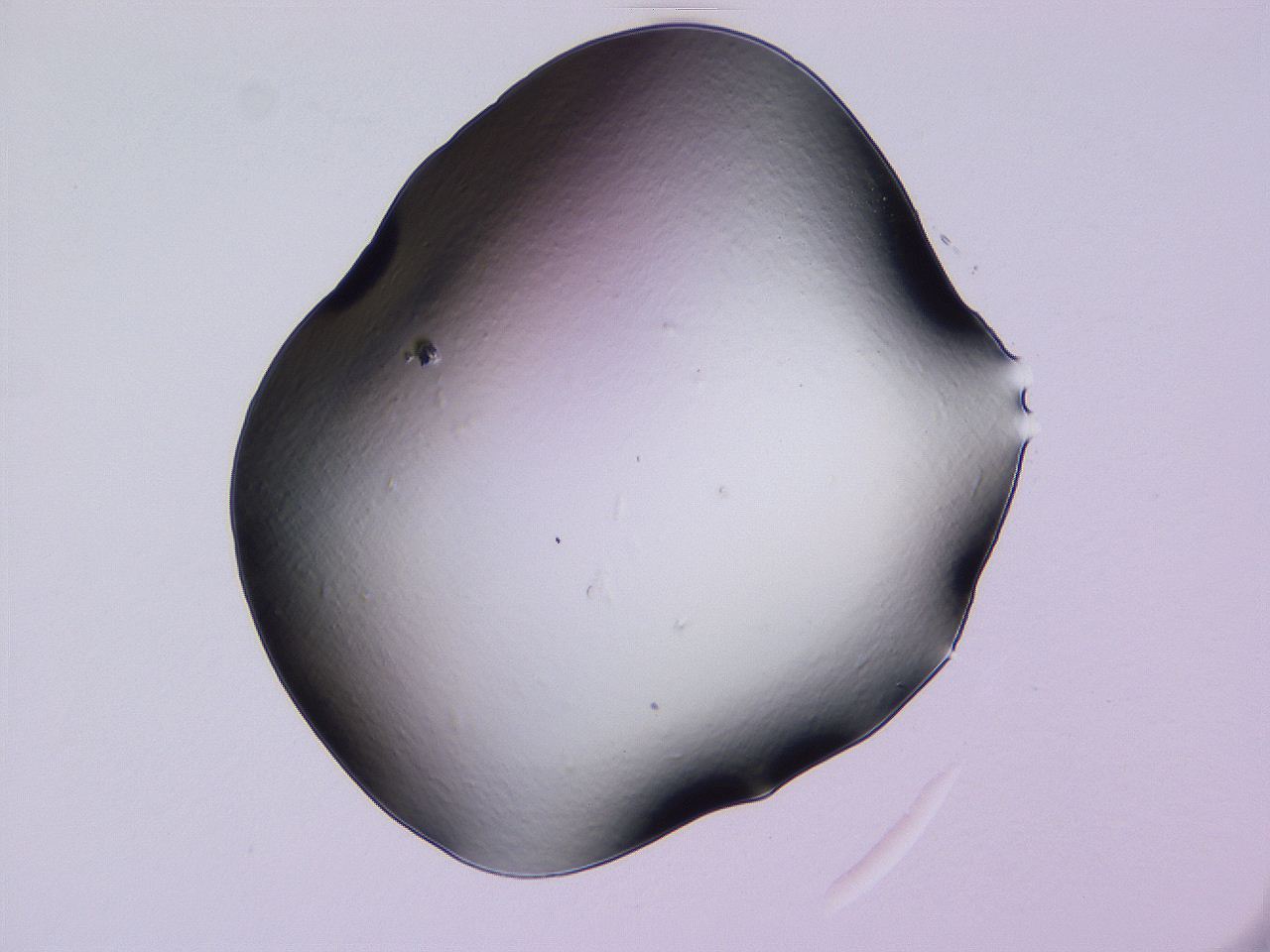 04g1_D11_ImagerDefaults_0.jpg