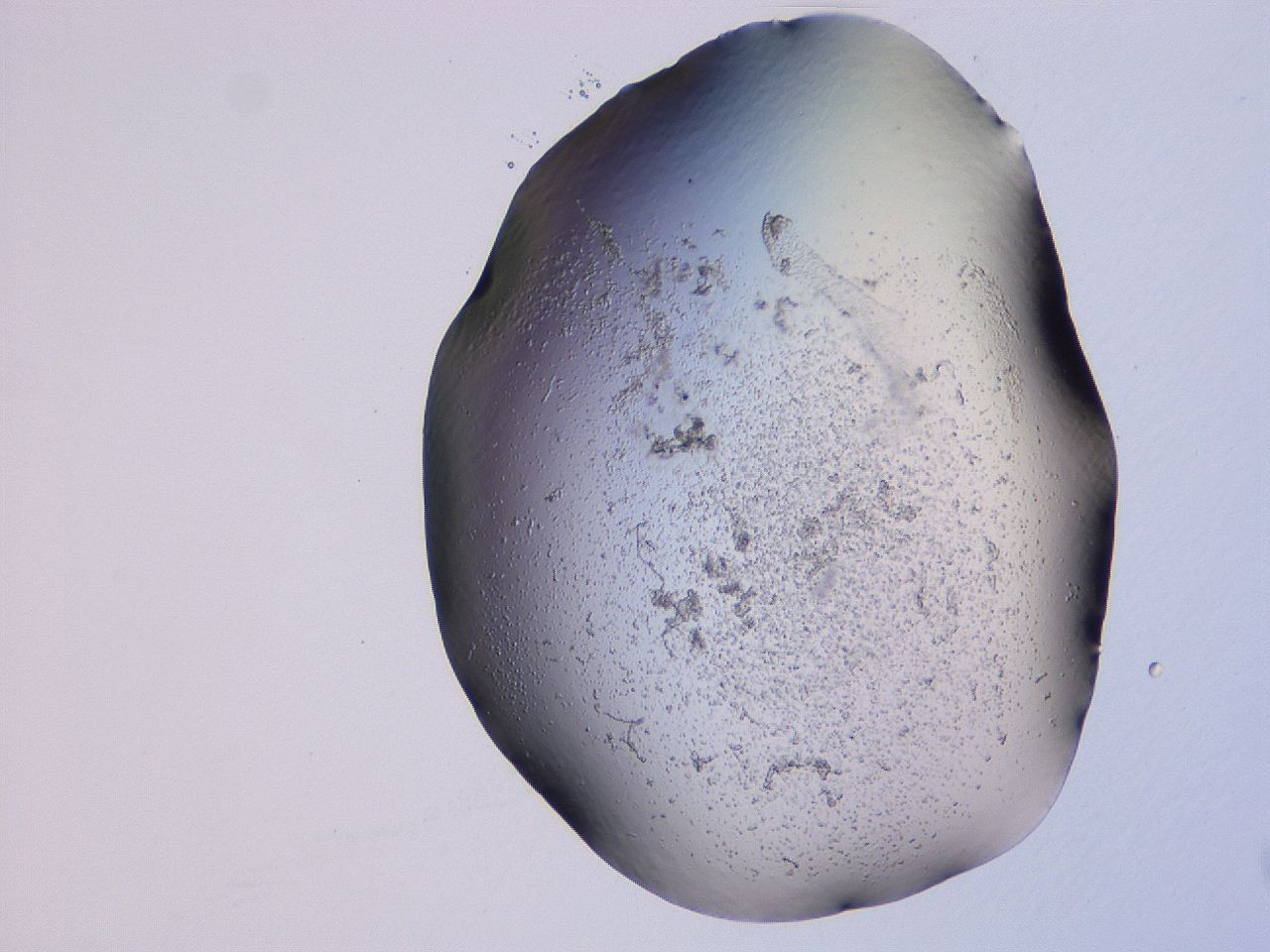 04g1_D12_ImagerDefaults_3.jpg