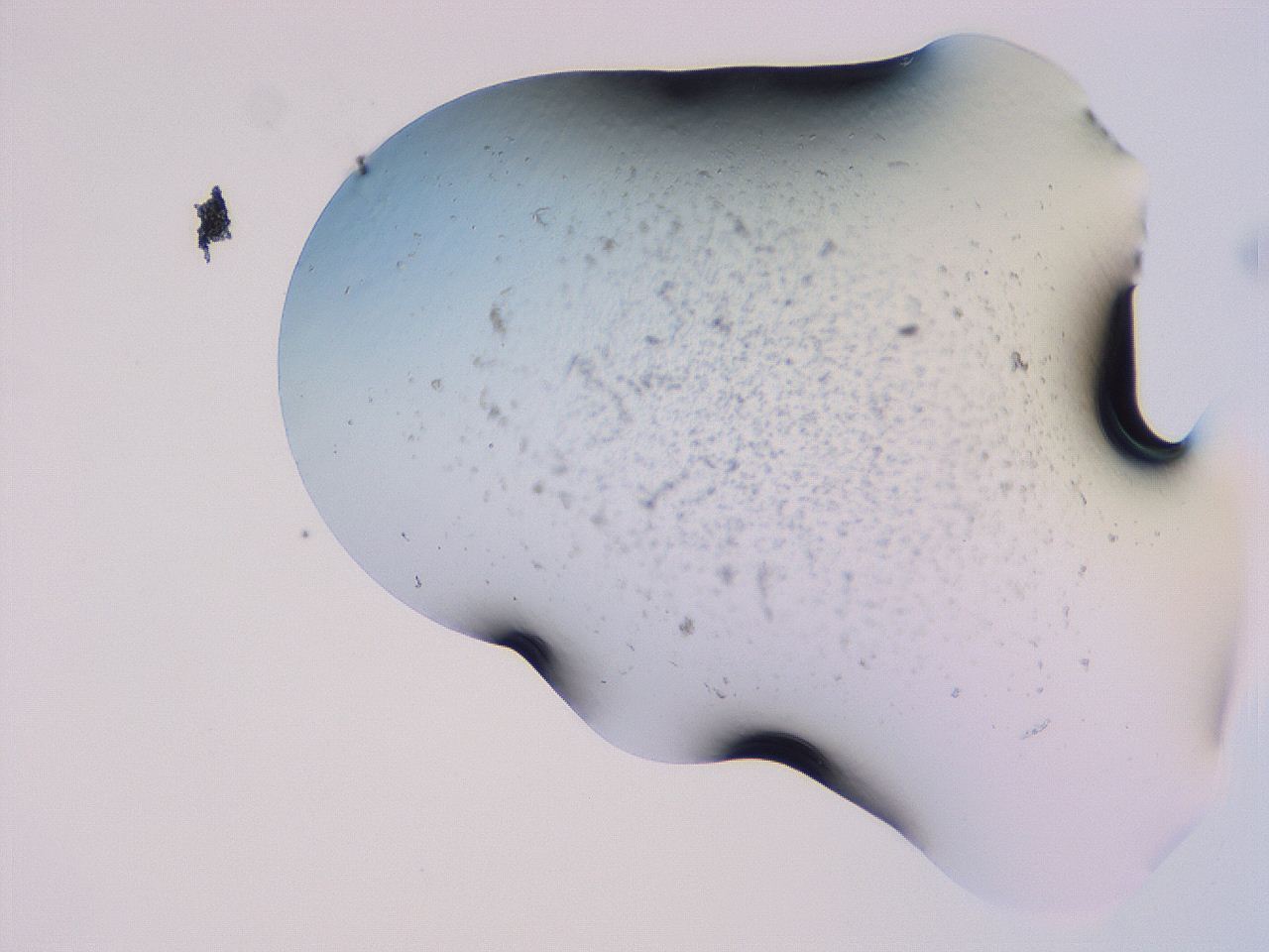 04g1_E4_ImagerDefaults_3.jpg