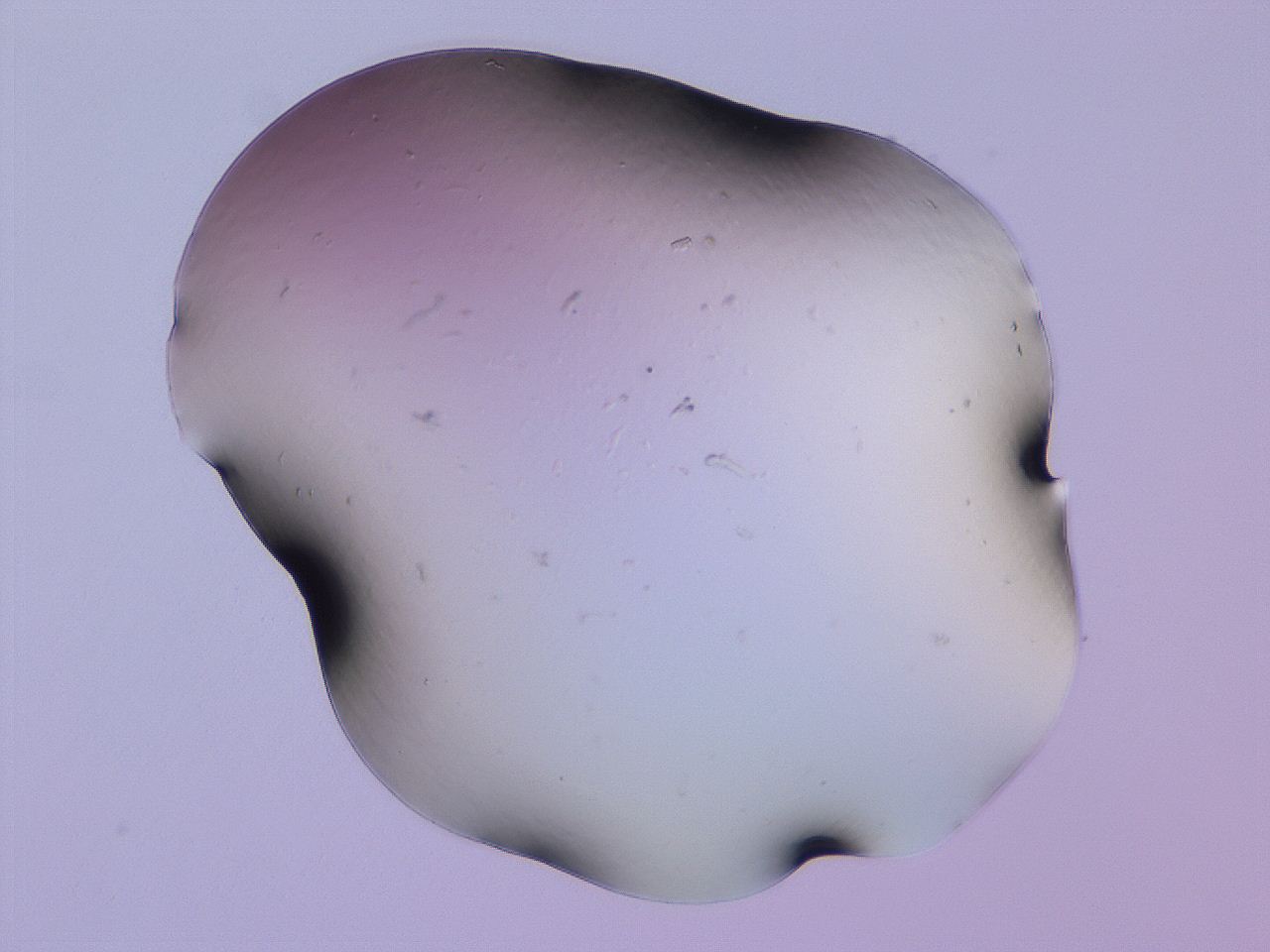 04g1_E6_ImagerDefaults_0.jpg
