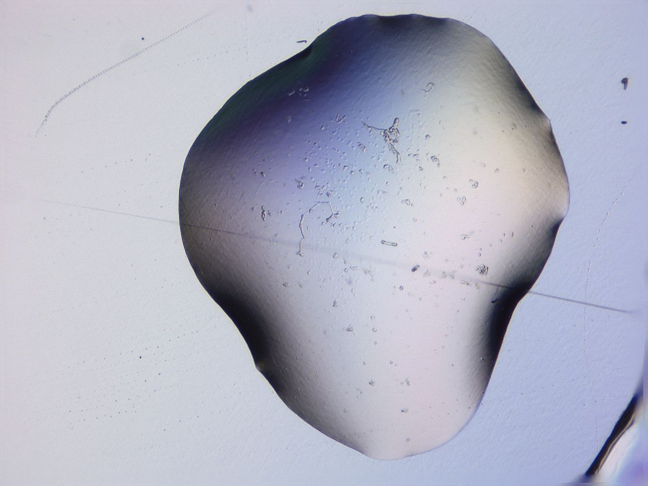 04g1_E8_ImagerDefaults_3.jpg