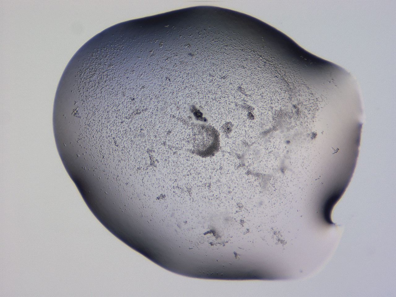 04g1_E11_ImagerDefaults_3.jpg