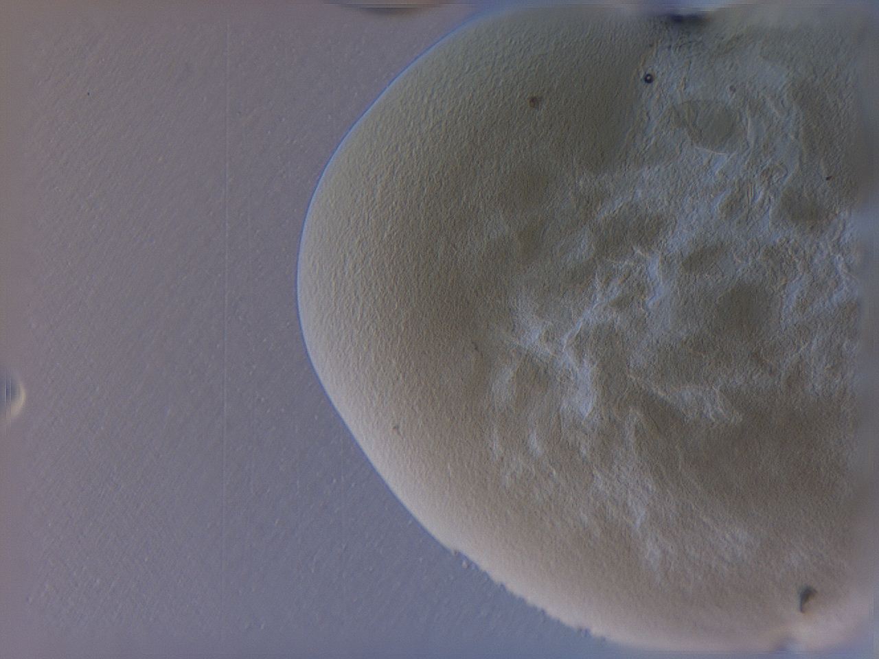 04g1_A2_ImagerDefaults_3.jpg