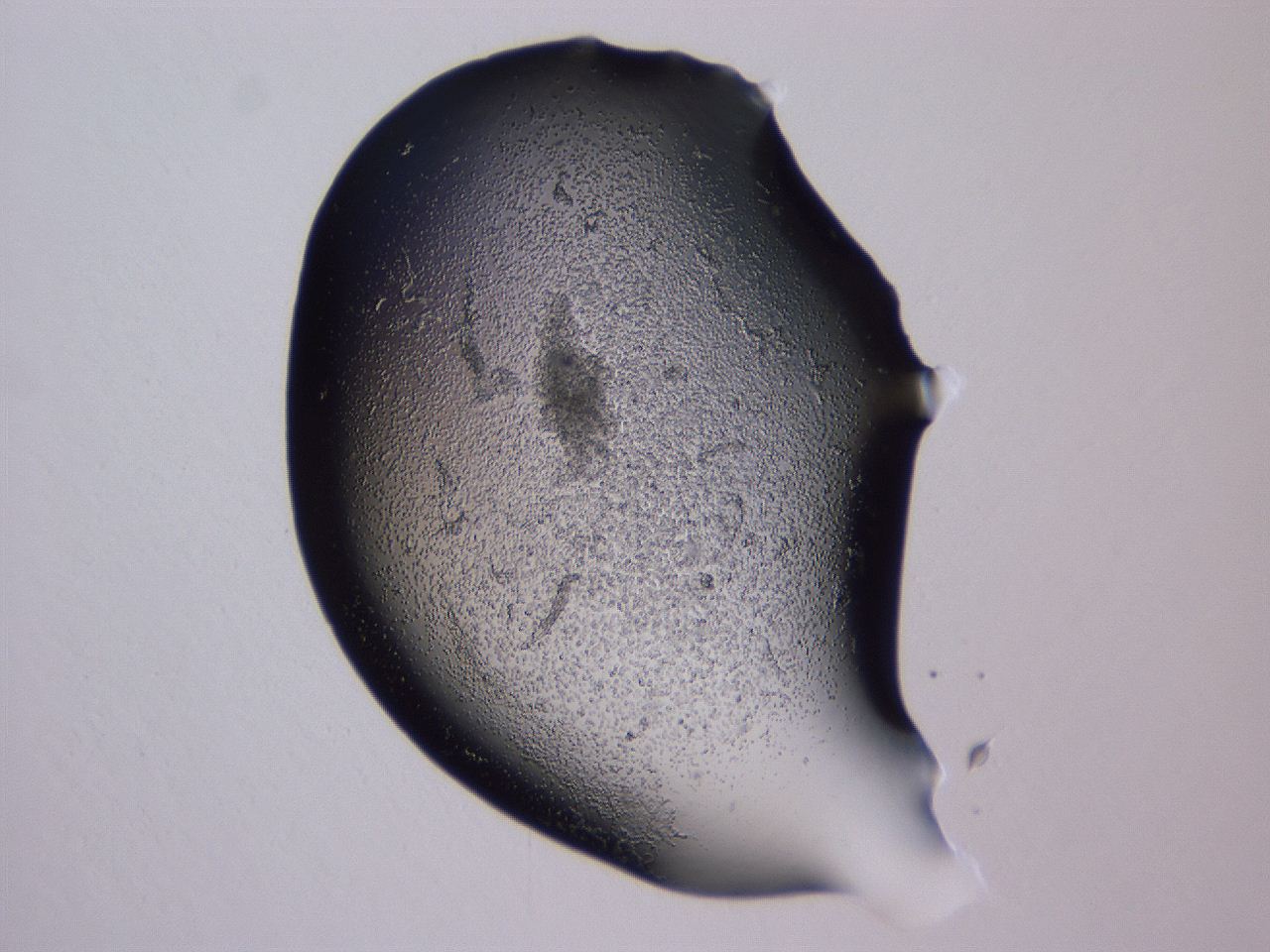 04g1_A3_ImagerDefaults_3.jpg
