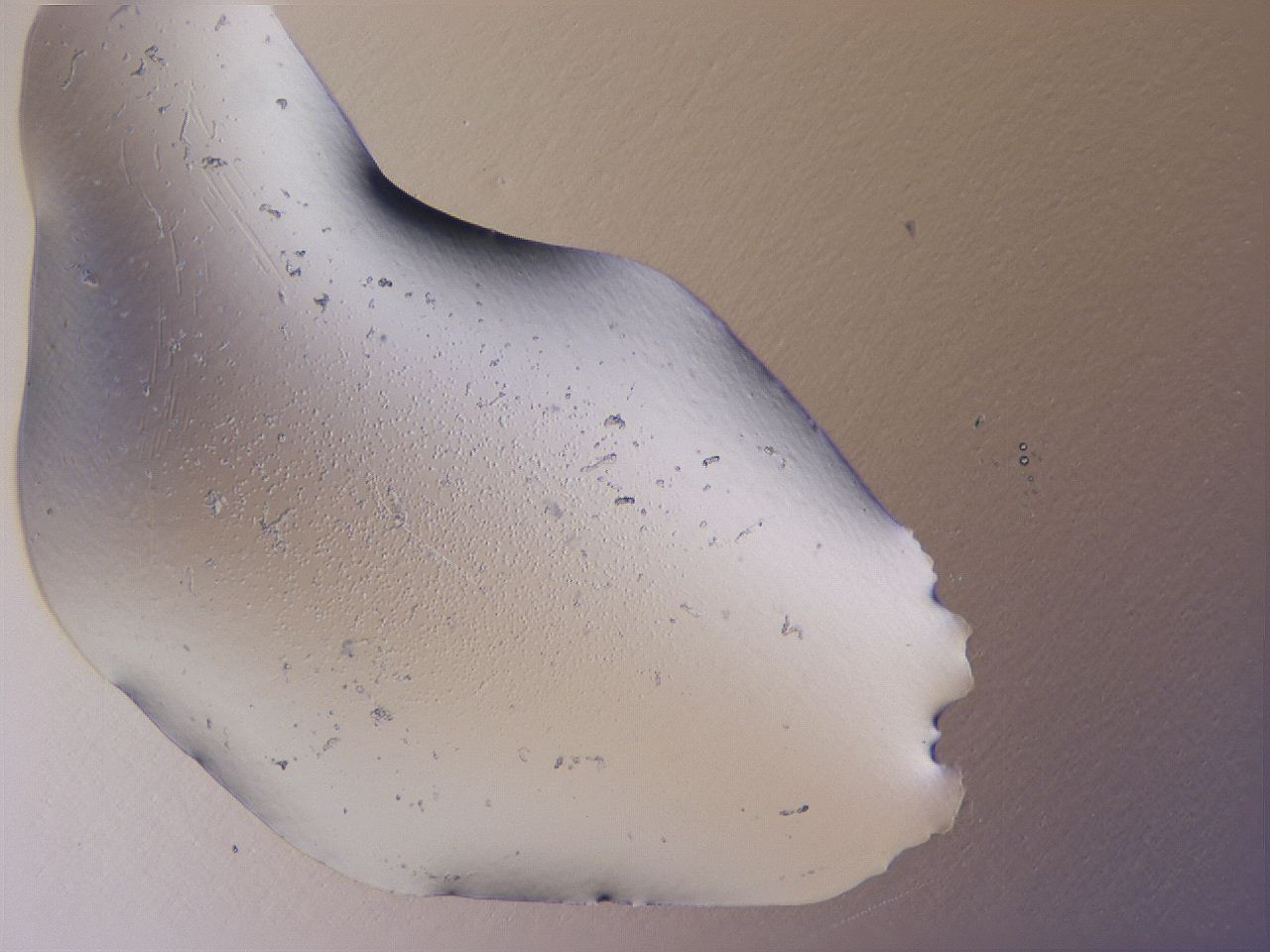 04g1_A5_ImagerDefaults_3.jpg